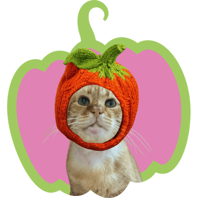 Ірис