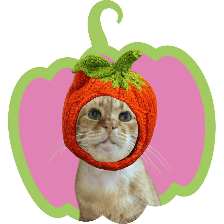 Ірис