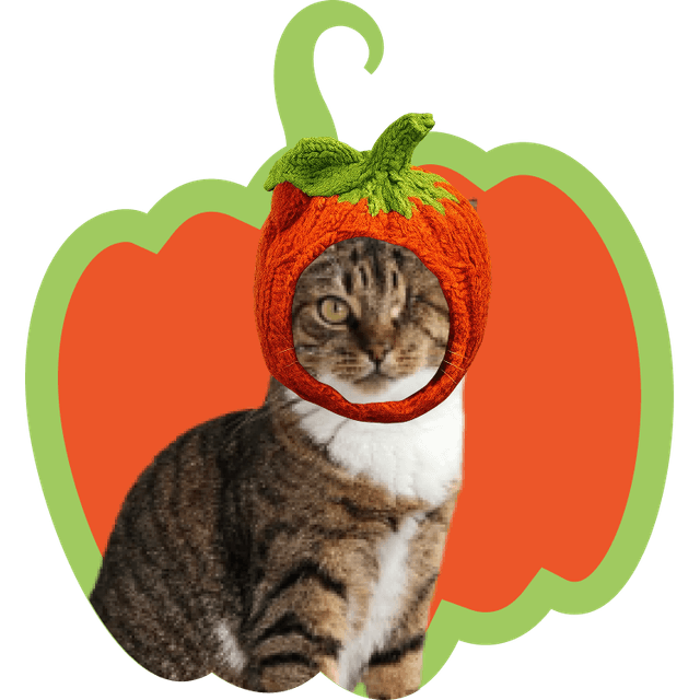 Джо