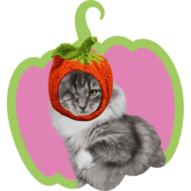 Кейс