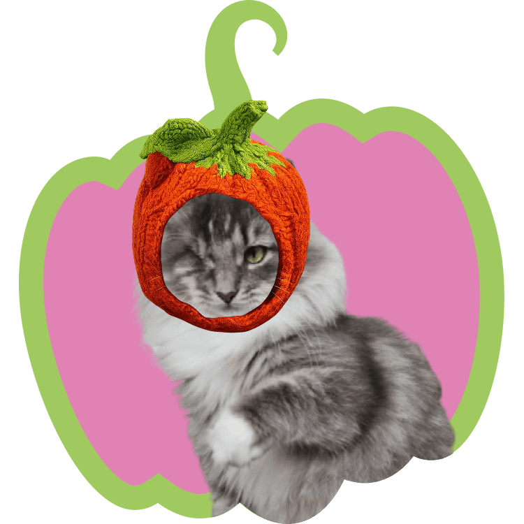 Кейс