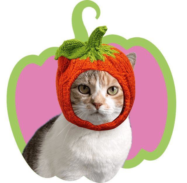 Кюрі